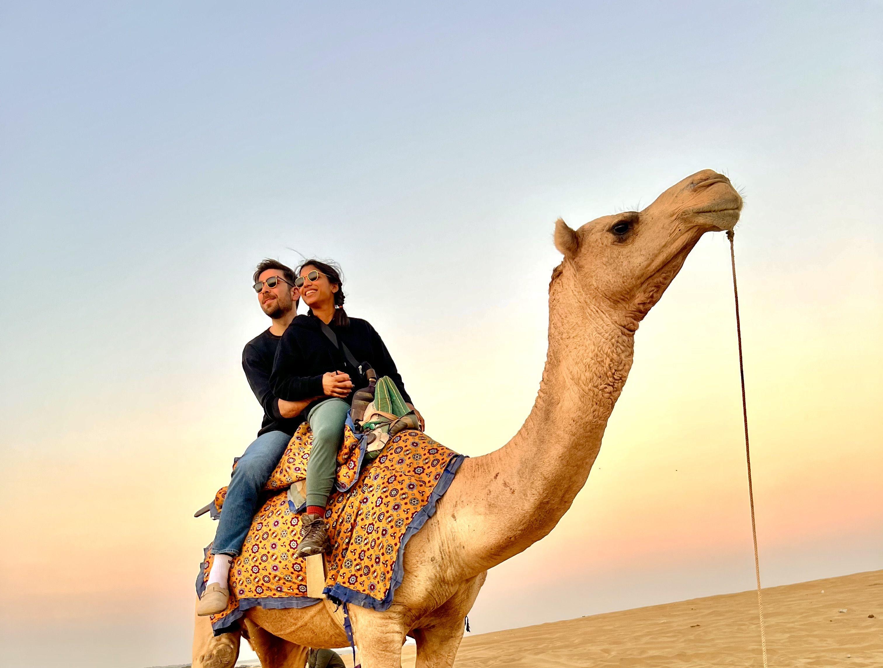The Wedding Website of Maya Lakshmi Srinivasan and Mitchell Eric Feldman