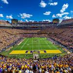 Tiger Stadium