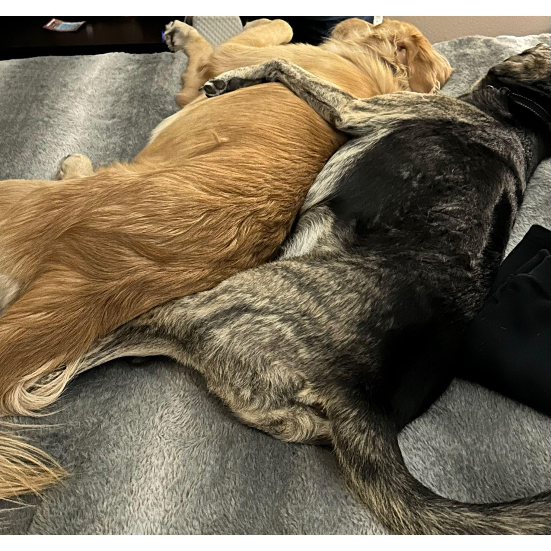 Best friends