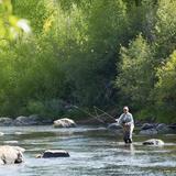 Fly Fishing