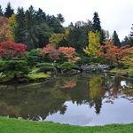 Washington Park Arboretum