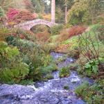Dawyck Botanic Garden