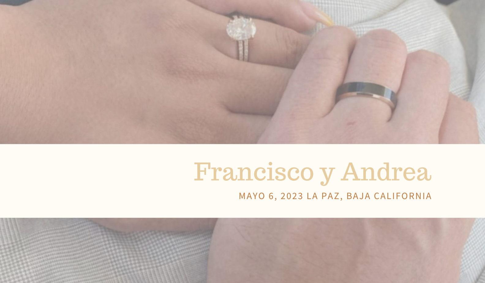Footer image