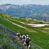 Hiking