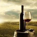 Hudson Valley Wineries
