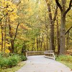 Wildwood Preserve Metropark