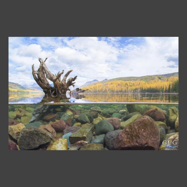 Rebirth from the Americana Collection - Gug Underwater