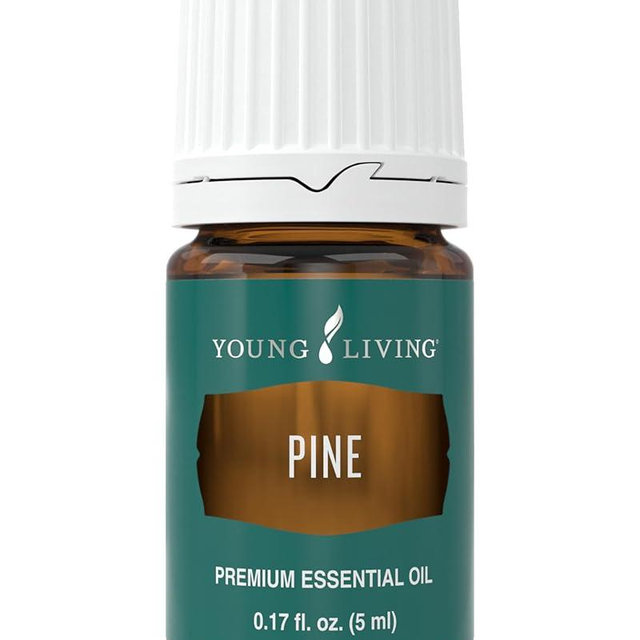 Pine Essential Oil 5ml by Young Living Essential Oils - Uplifting Aroma - Refreshing Breathing Experience - Repels The Influence of Negative Energy - Essential Oil Diffusers