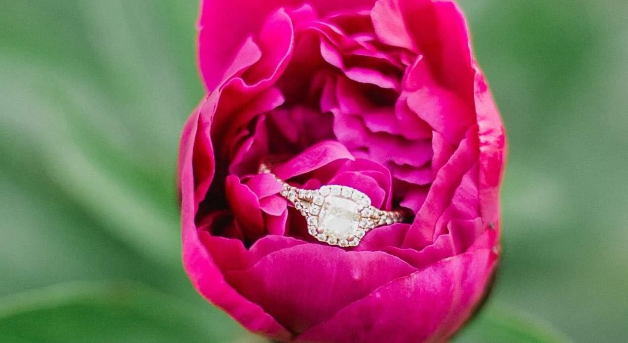 The Wedding Website of Monique Botha and Tyler Hare