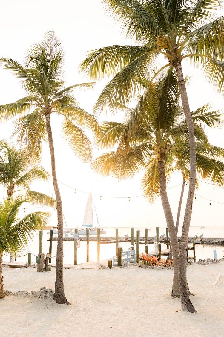 The Wedding Website of Elise Brown and Derek Sunkle