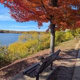 Horn Pond Recreation Area