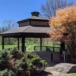 The Webster Arboretum