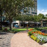 City Centre/ Town & Country