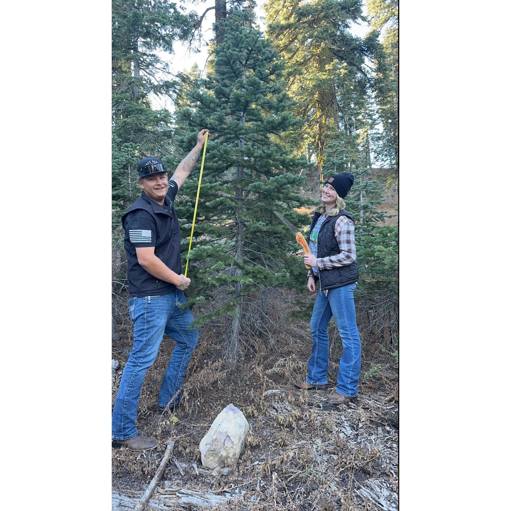 Cutting down our first Christmas tree!