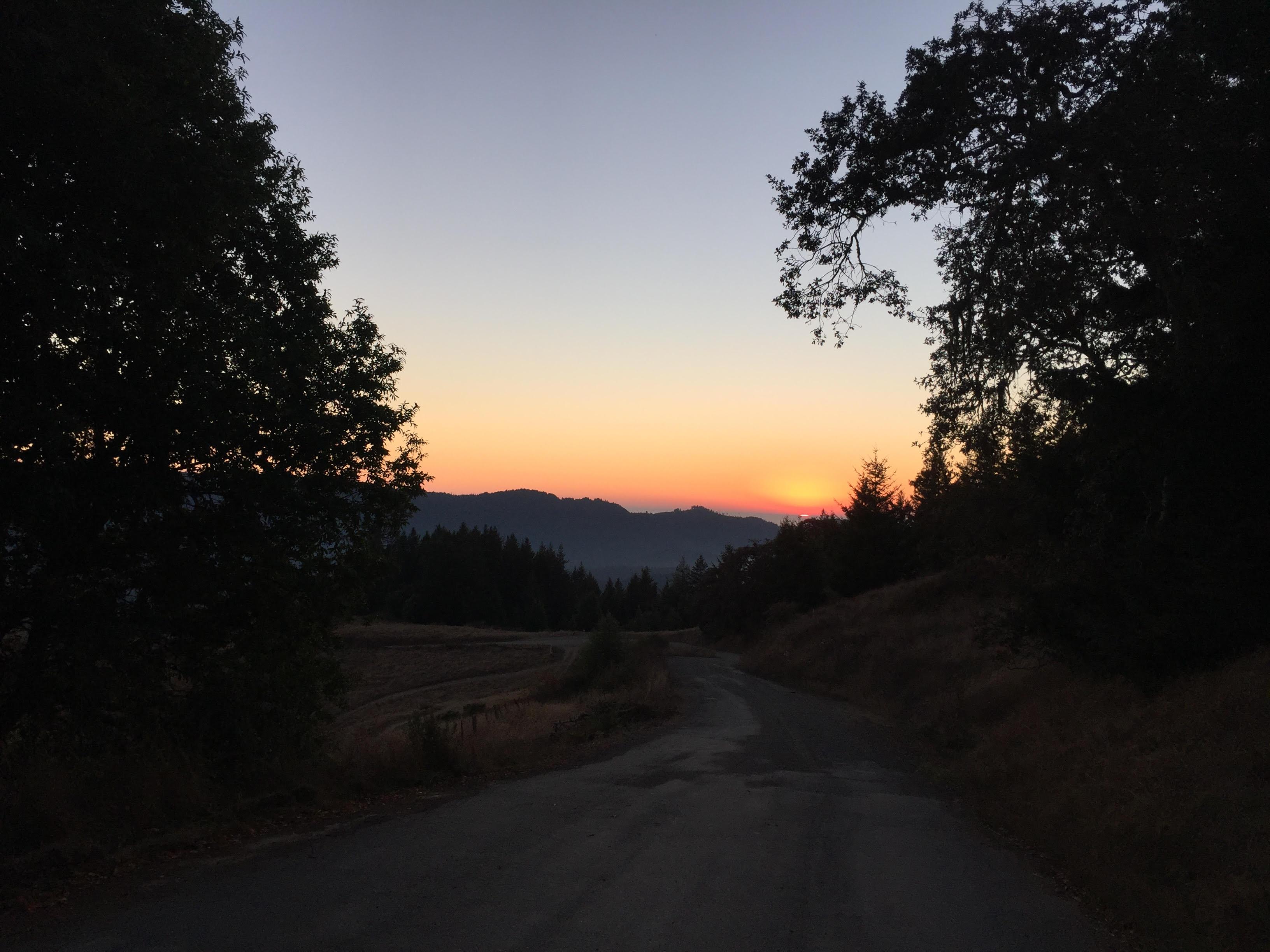 The Wedding Website of Brita Rustad and Connor Goldstein