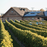 Newport Vineyards