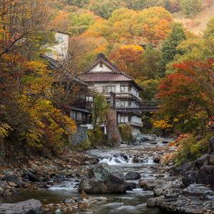 Onsen Ryokan Stay