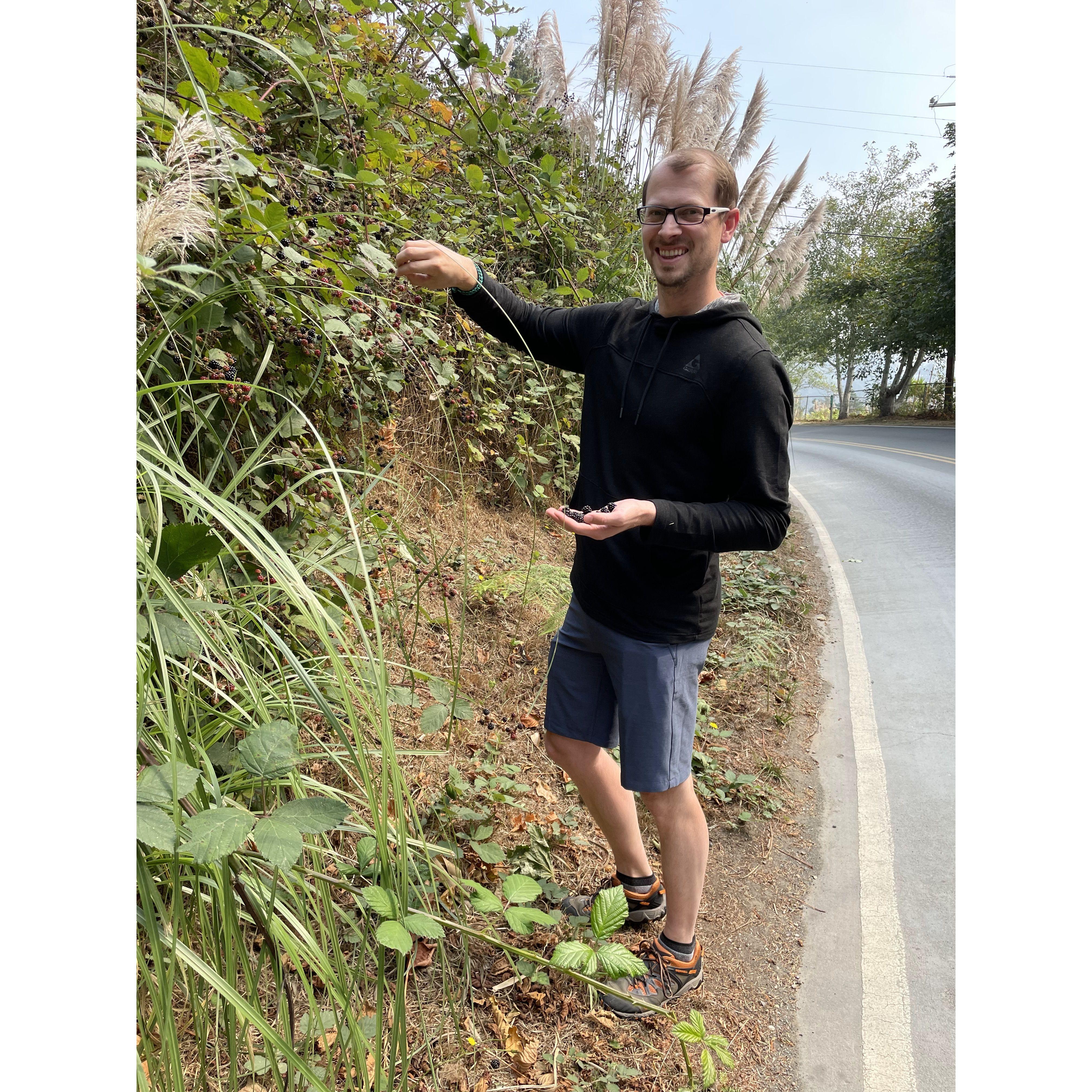 Picking blackberries on the side of the road to make a pie.
