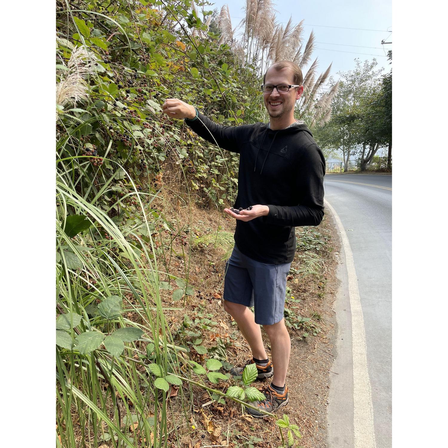 Picking blackberries on the side of the road to make a pie.
