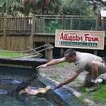 St. Augustine Alligator Farm Zoological Park