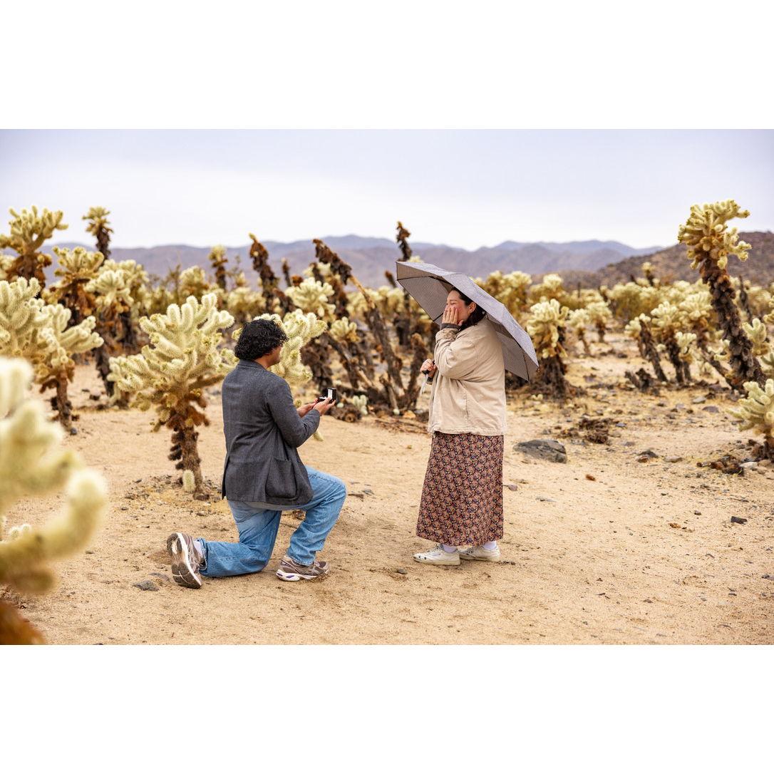 January 20th, 2024. Our 5th anniversary, the day we got engaged in Joshua tree