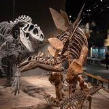 Denver Museum of Nature & Science