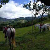 Horseback Riding Tour
