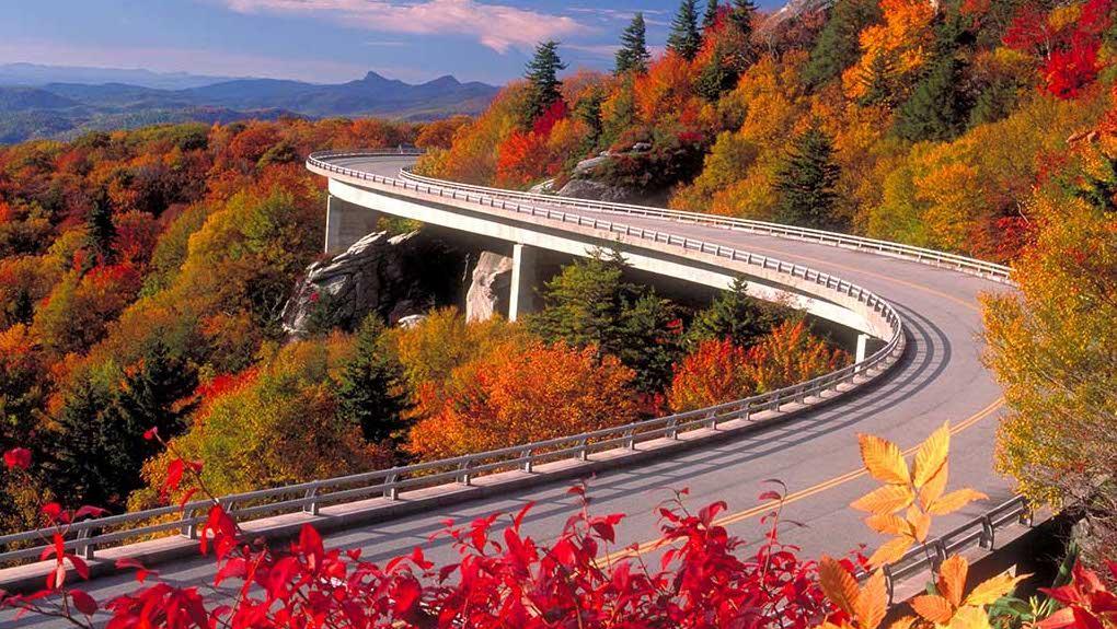 The Wedding Website of Elizabeth Patterson and Benjamin Hertel