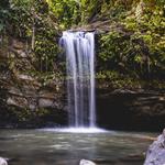 El Portal de El Yunque