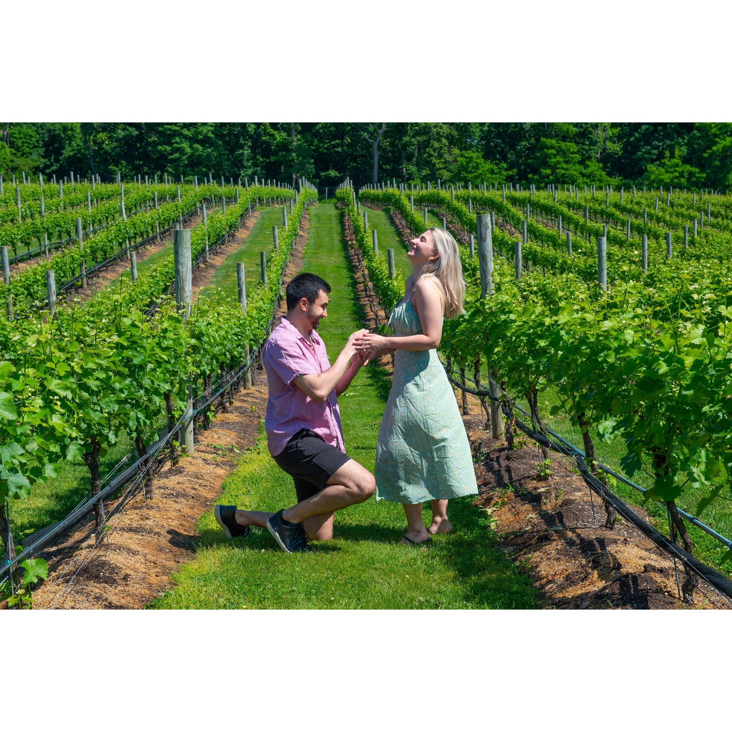 Proposal at Del Vino Vineyard (June 4 2022)