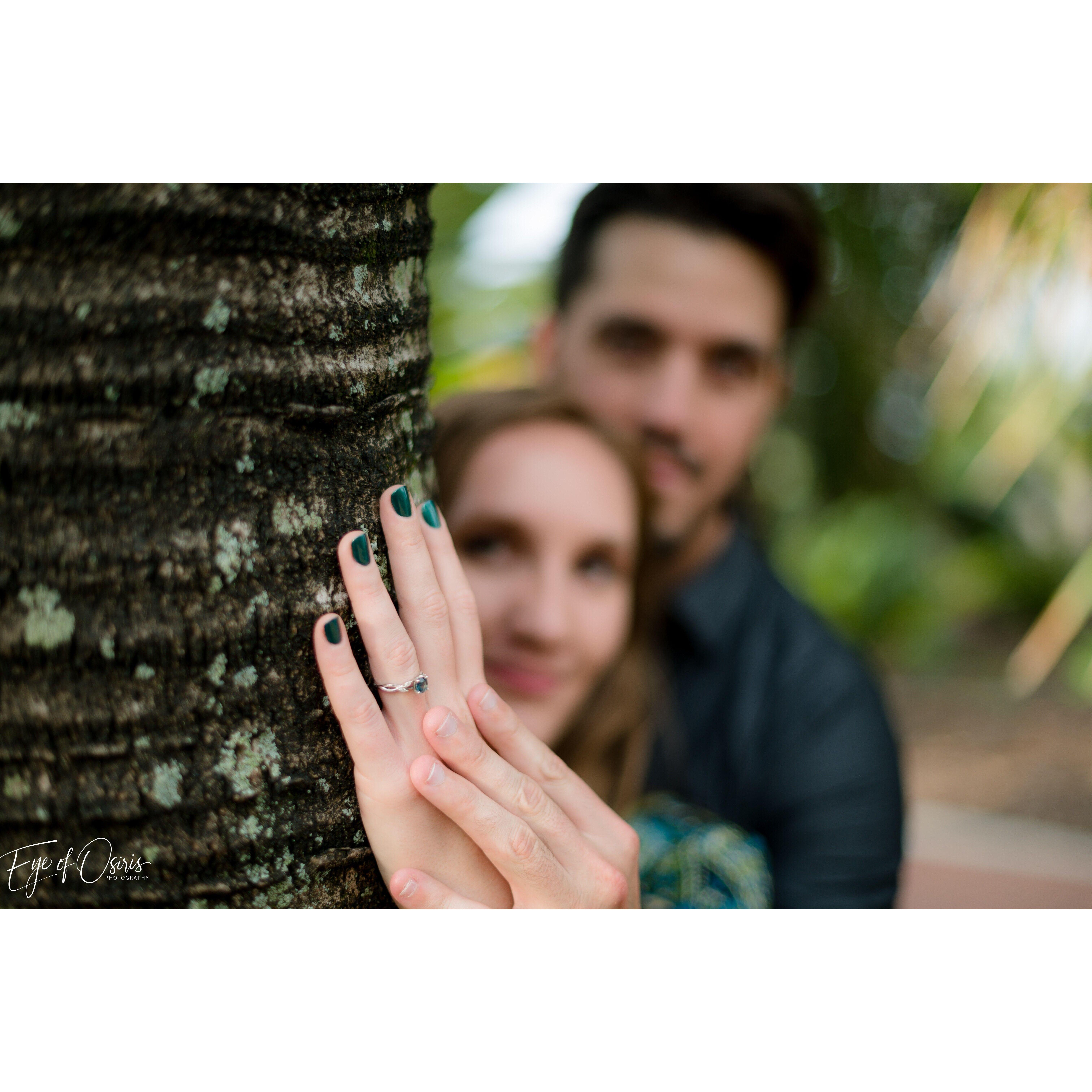 Will chose a Montana Sapphire as the engagement ring stone.