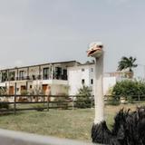 Exotic Zoo