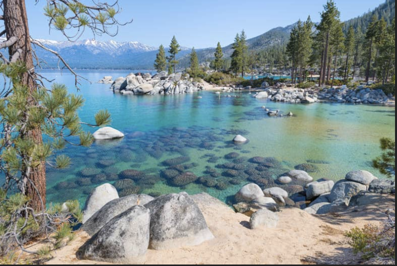 The Wedding Website of Sarah Fink and Greg Chernock