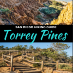 Torrey Pines State Reserve