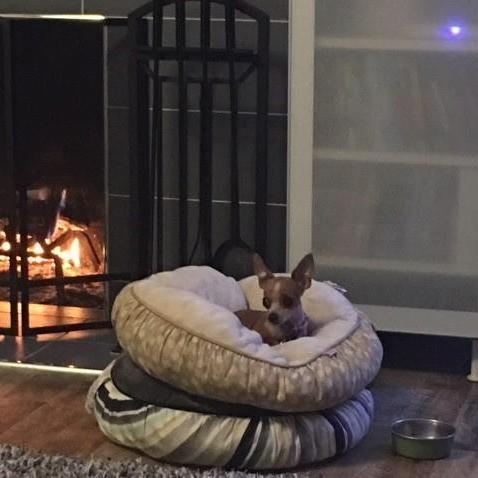 Princess Piper