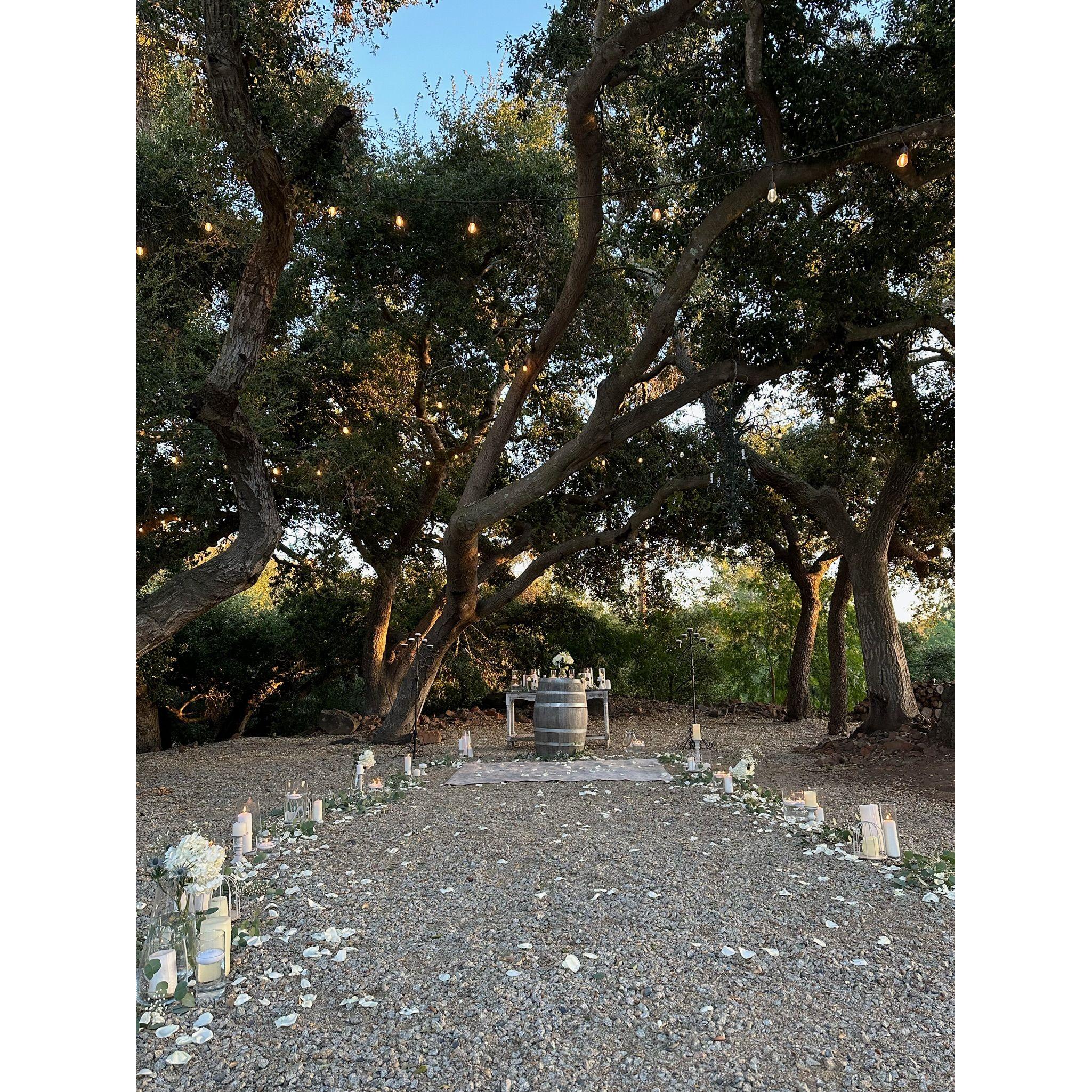 Where Logan popped the question. Our family made it so beautiful.