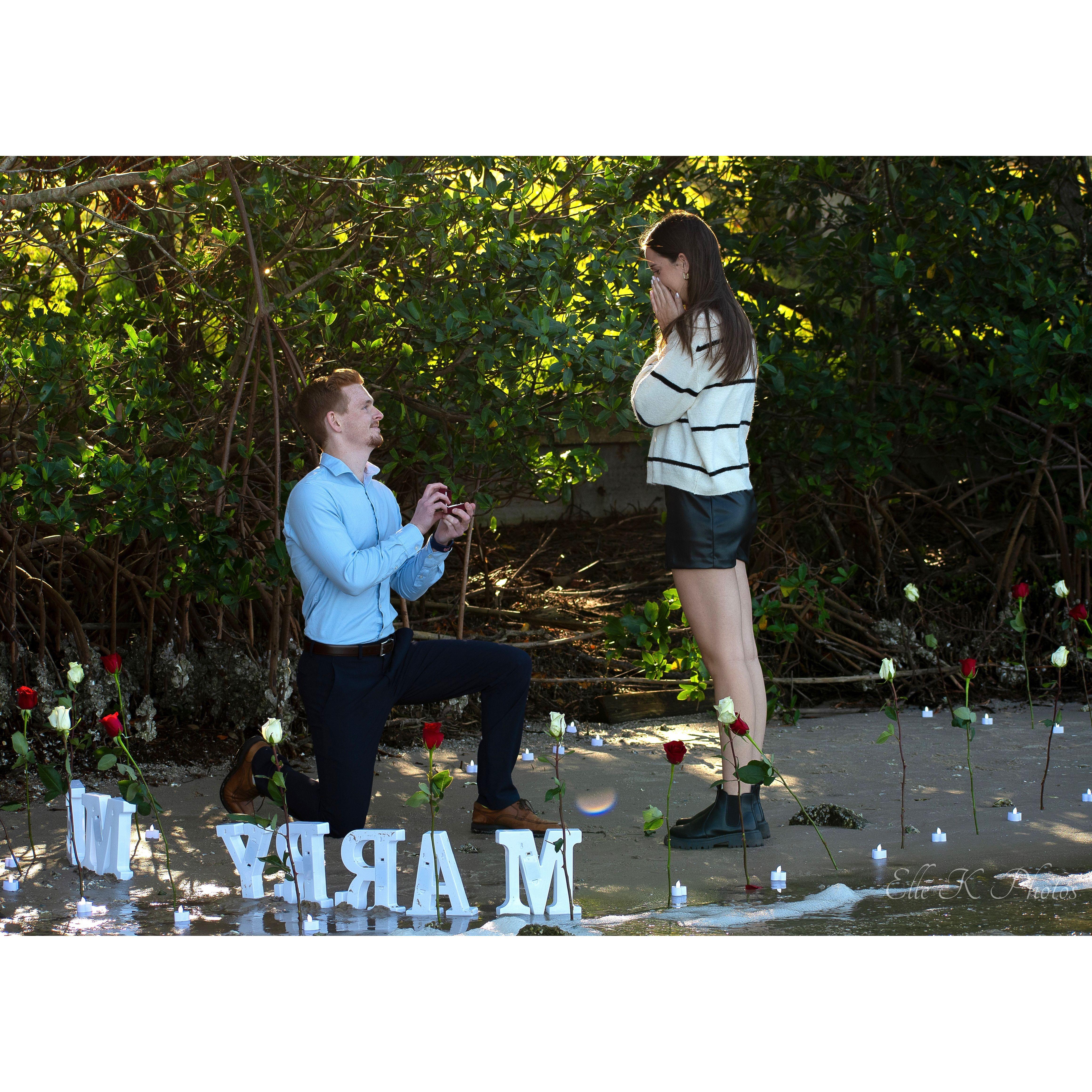 The Proposal - November 2024