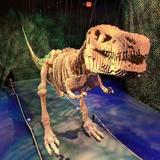 Oregon Museum of Science & Industry (OMSI)
