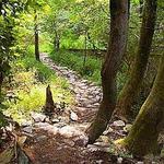 Harmony Hill Nature Area