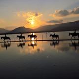 Horseback ride on the beach
