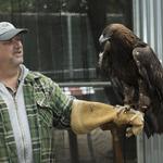 California Raptor Center