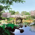 Garden of the Phoenix
