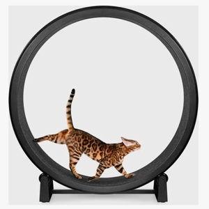 One Fast Cat Gen 7 Cat Exercise Wheel