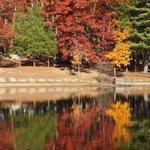 Ashland State Park