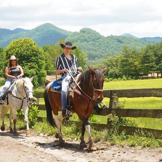 Our first horse back riding 🐎🤎