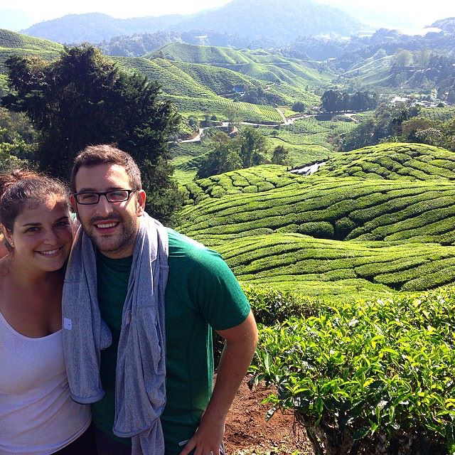 The tea plantations of the Cameron Highlands, Malaysia