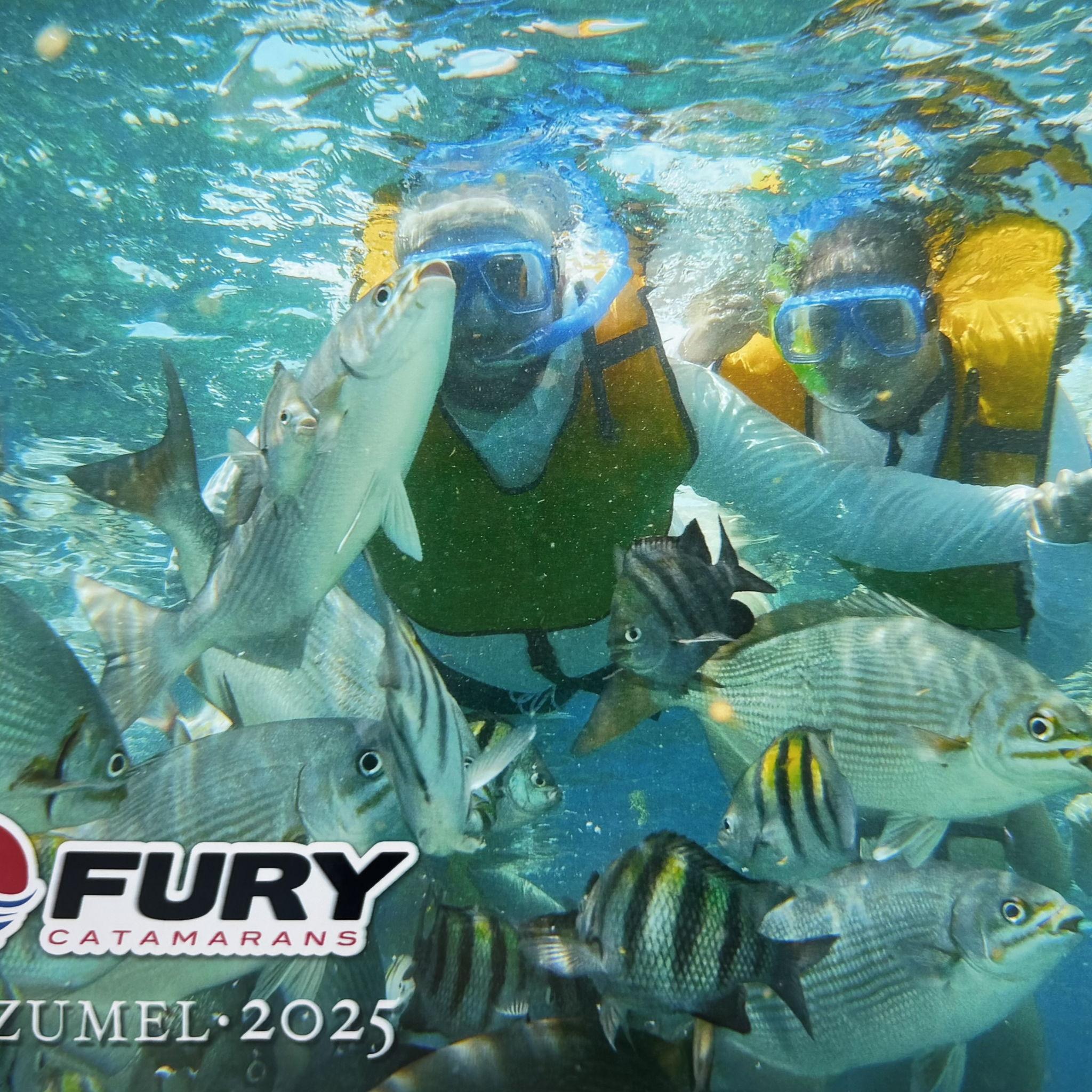 Snorkeling in Cozumel, Mexico