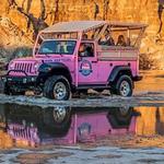 Smoky Mountains Pink Jeep Tours