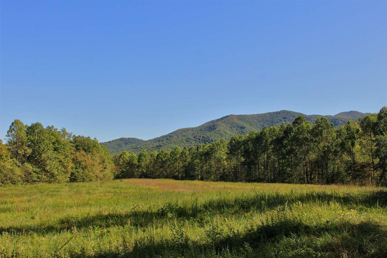 The Wedding Website of Maya Almeida and Joe Maldonado