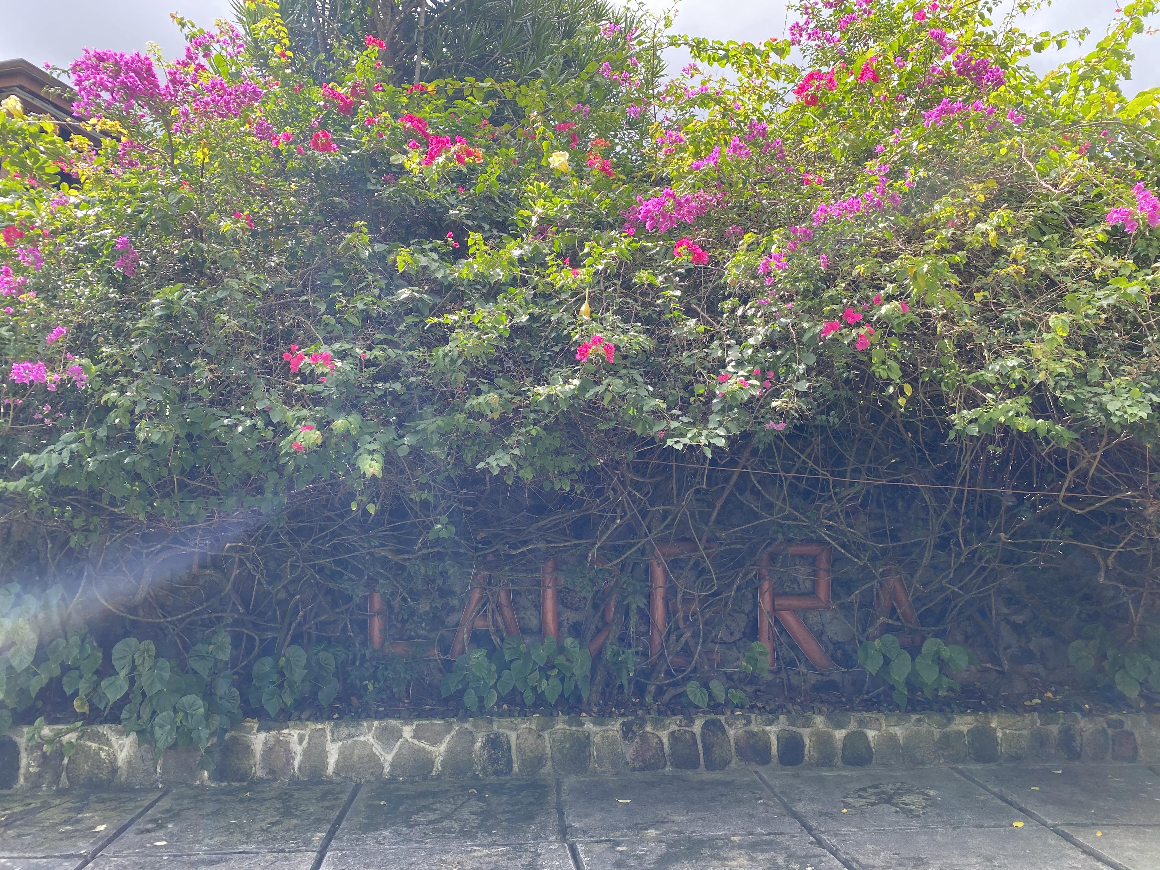 The Wedding Website of Rachel Giesey and Gregory Delost
